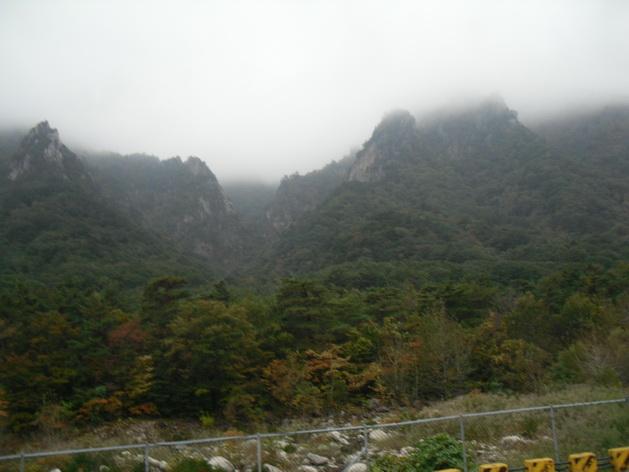 SDC13909_resize.JPG